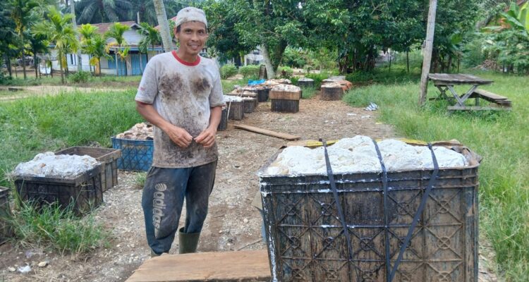 Sapri Petani Karet asal Bukit Sari | dok.Azhar | bungonews