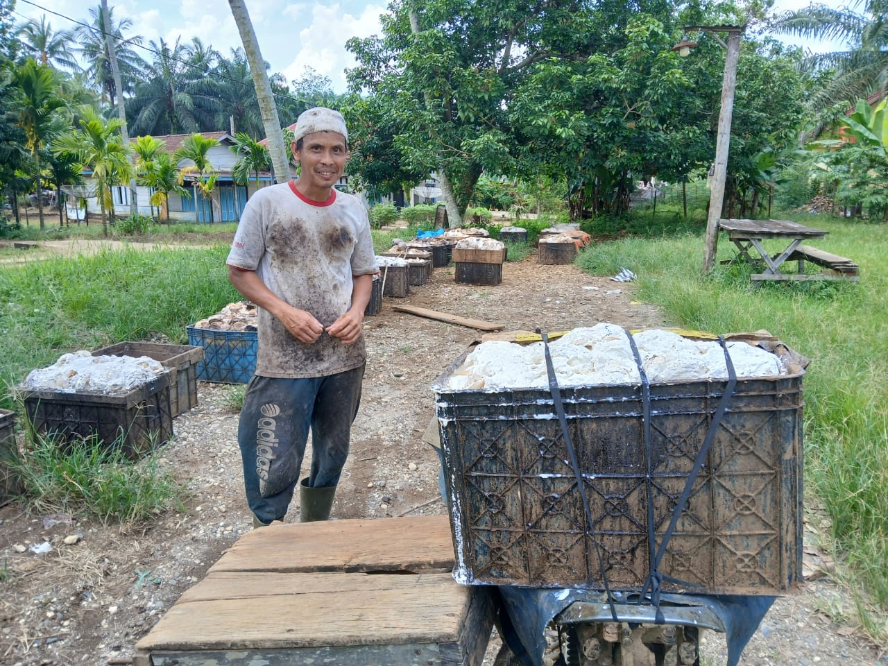 Sapri Petani Karet asal Bukit Sari | dok.Azhar | bungonews