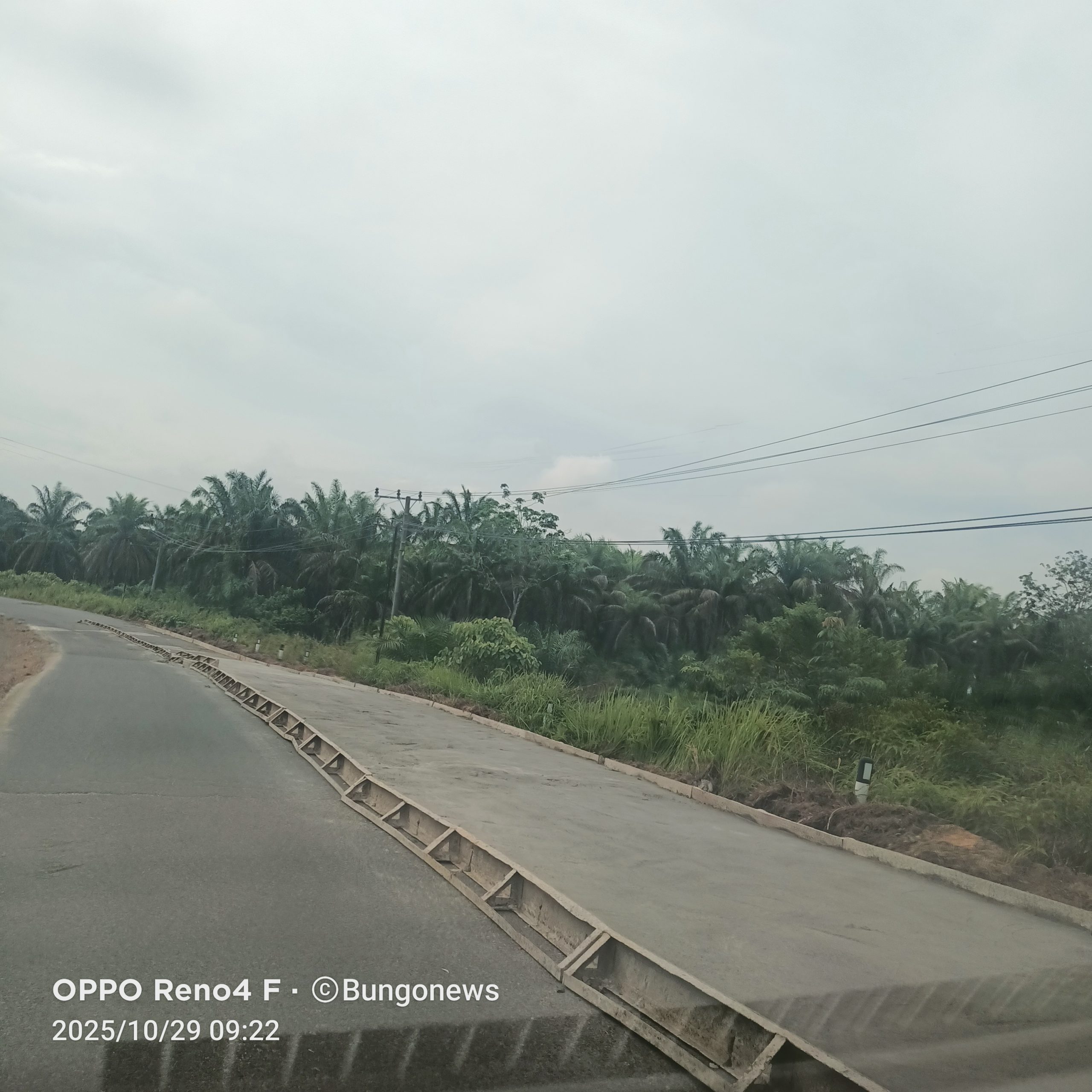 Jalan Rigid Beton Muara Bungo - Sungai Buluh