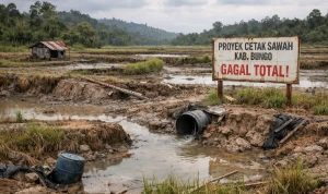 FB_IMG_1771238219770