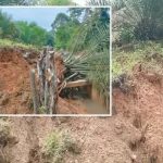 FB_IMG_1771573053988